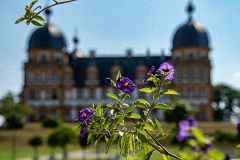Seehof Castle - View through flowers